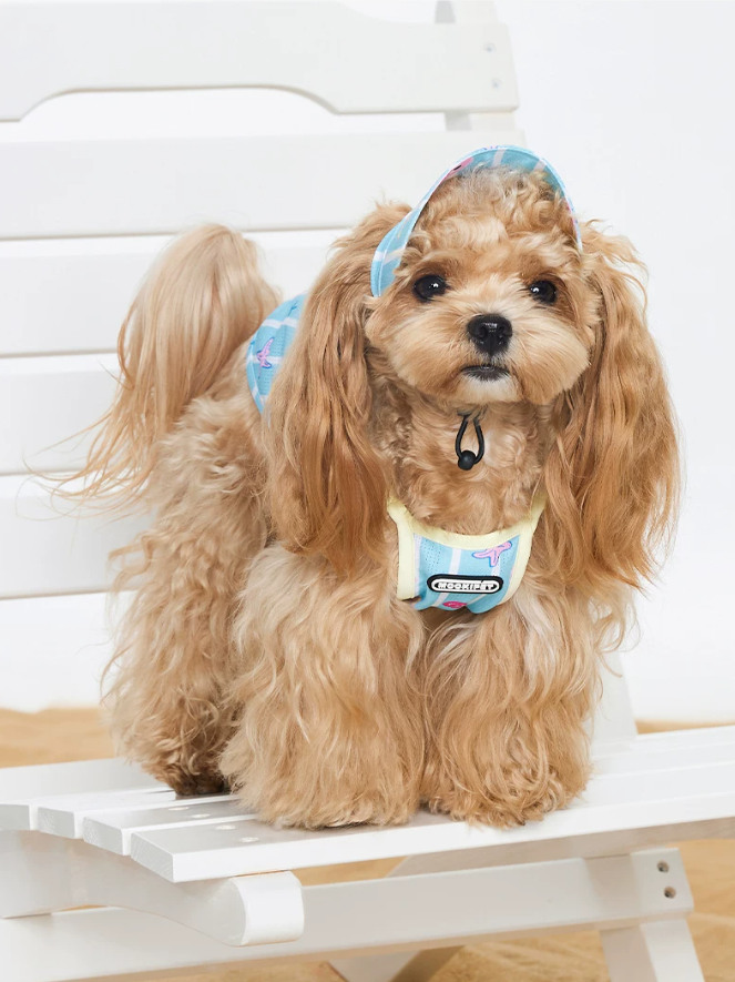Cool Touch Summer Strap Pet Apparel