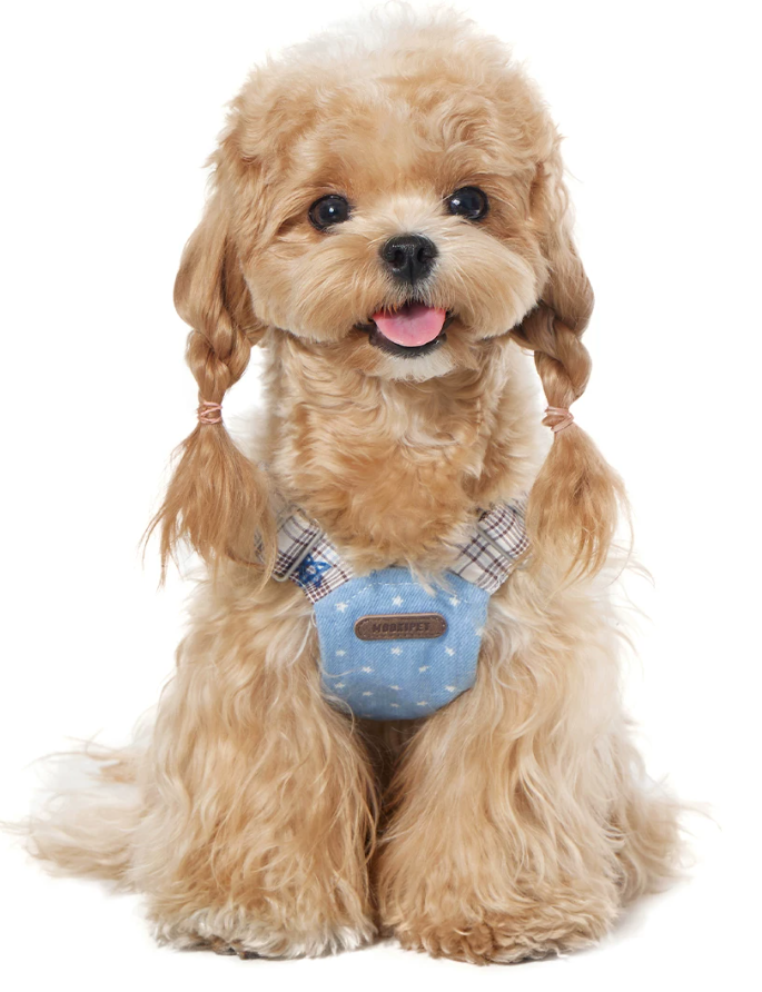 Denim Style Leash Vest for Small Dogs