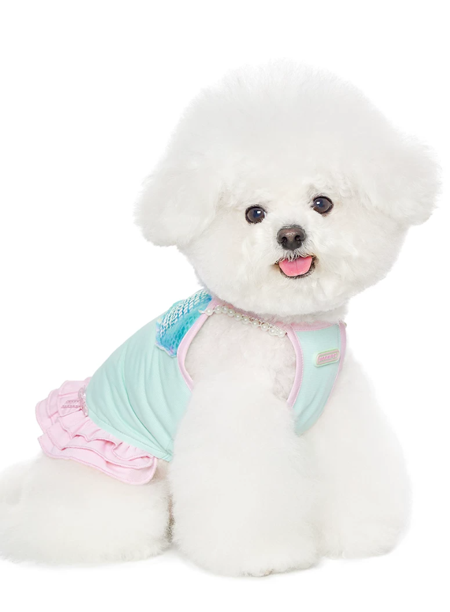 Aqua Chill Pool Swim Vest for Dogs