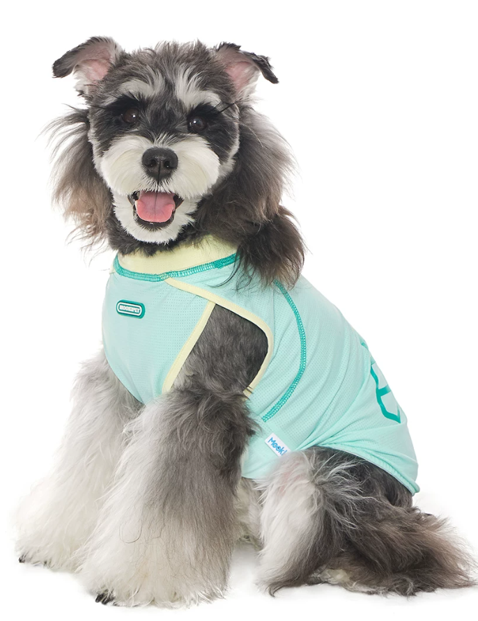 Soft Cooling Vest for Bichon Frise Dogs