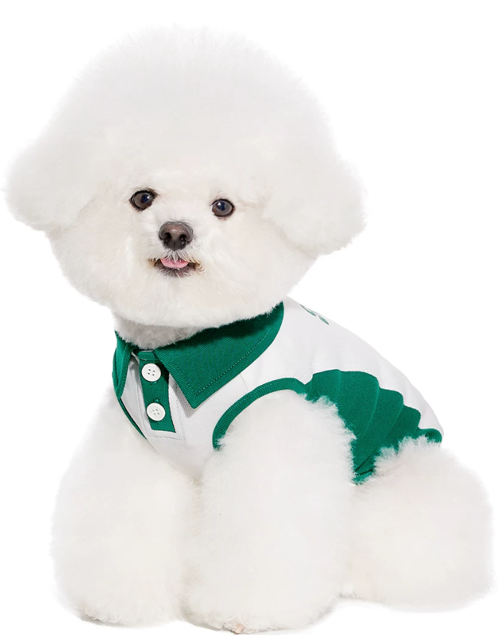 Summer Skirt Vest Outfit for Bichon Schnauzer Teddy Dogs
